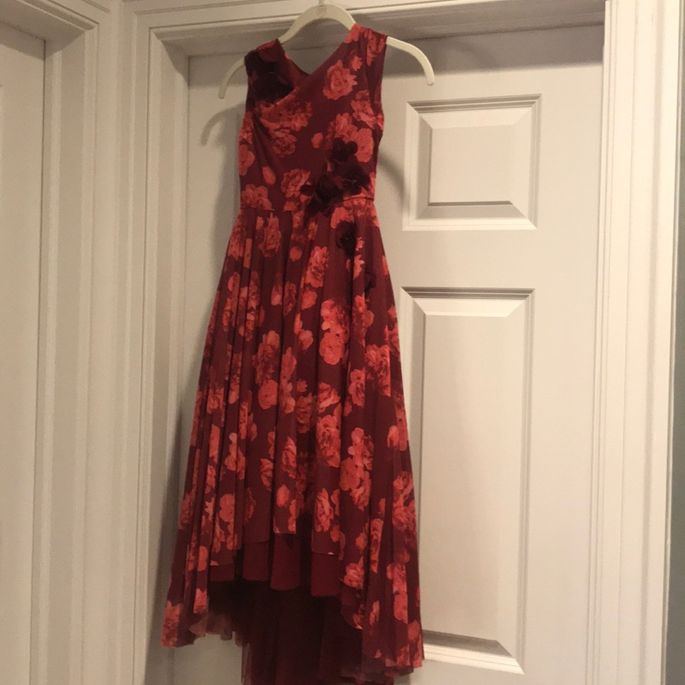 Joyfolie Juliet dress in berry size 7